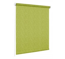 Штора рулонная (120x160 см) Эскар Скелетон