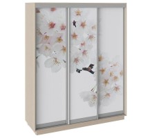 Шкаф-купе Румер