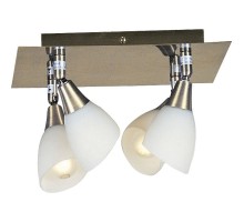 Спот Globo Frank 5451-4