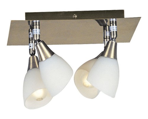 Спот Globo Frank 5451-4