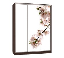 Шкаф-купе 7-600 яблоня