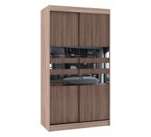 Шкаф-купе Риф-2 Зеркало вариант 6