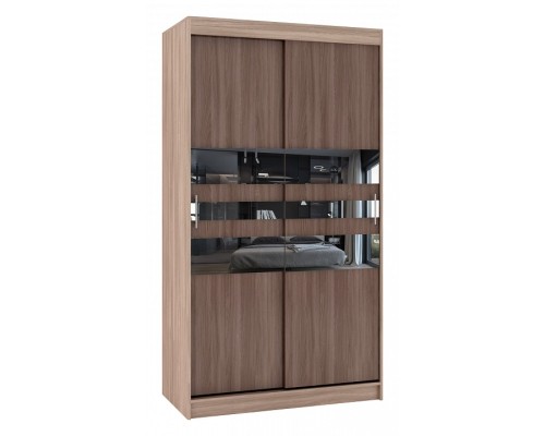 Шкаф-купе Риф-2 Зеркало вариант 6