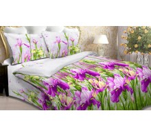 Постельное белье полутораспальное Ирсен-2