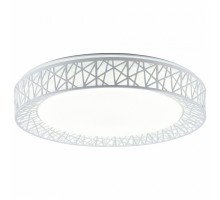 Накладной светильник TopLight Diana TL1204X-72WH