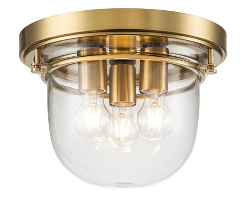 Накладной светильник Quoizel Whistling QZ-WHISTLING-F-BB