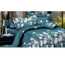 Постельное белье полутораспальное Art Color 061-AC