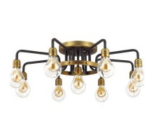 Потолочная люстра Odeon Light Alonzo 3983/9C