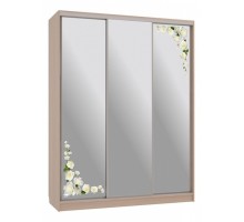 Шкаф-купе Бассо 4-600 розы