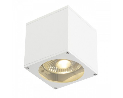 Накладной светильник SLV Big Theo 229561