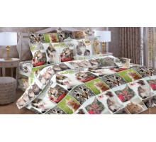 Постельное белье полутораспальное Дизайн 17055-1