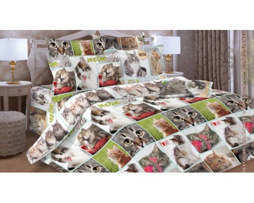 Постельное белье полутораспальное Дизайн 17055-1