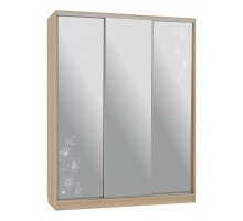 Шкаф-купе Бассо 4-600 токио