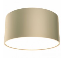 Накладной светильник Maytoni Zon C032CL-L12MG3K