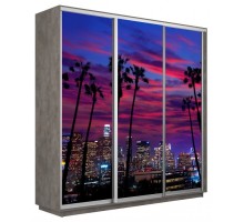 Шкаф-купе Экспресс Фото трио 1014 1800x450x2400