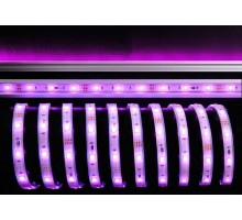 Лента светодиодная [5 м] Deko-Light  840103