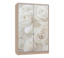 Шкаф-купе Гранд 7-600 розы