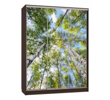 Шкаф-купе Бассо 7-600 57