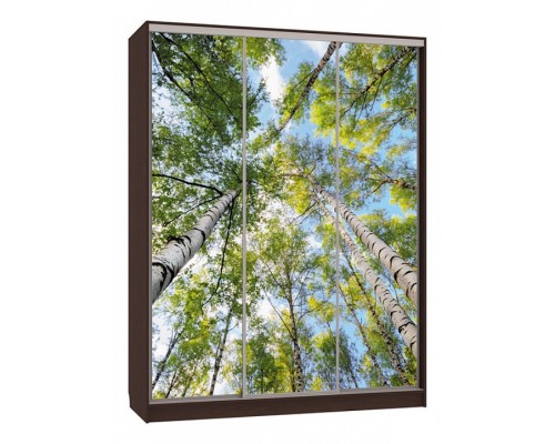 Шкаф-купе Бассо 7-600 57