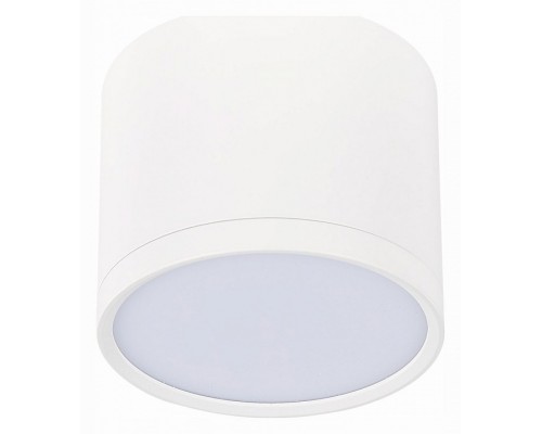 Накладной светильник ST-Luce Rene