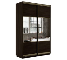 Шкаф-купе Экспресс Комби дуо