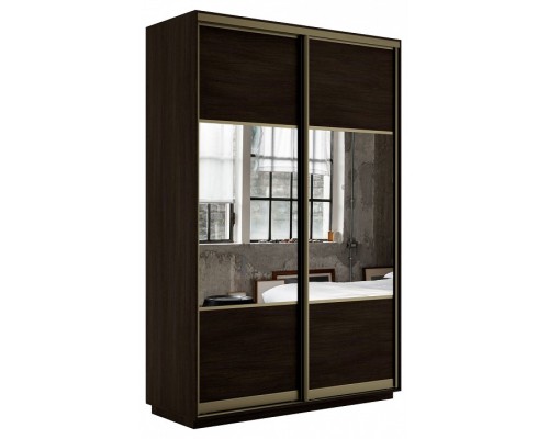 Шкаф-купе Экспресс Комби дуо