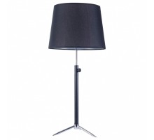 Настольная лампа декоративная Maytoni Monic MOD323-TL-01-B