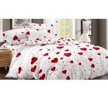 Постельное белье полутораспальное Art Color 054-AC