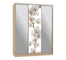 Шкаф-купе Бассо 9-600 83