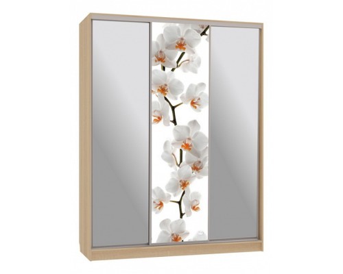 Шкаф-купе Бассо 9-600 83