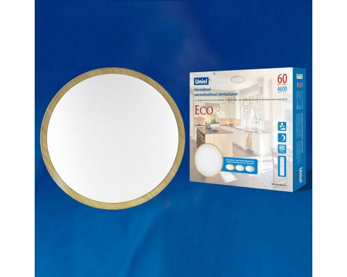 Накладной светильник Uniel Eco ULI-D284 60W/SW/49 ECO