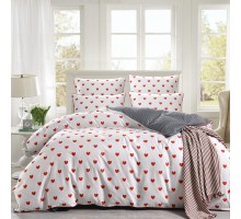 Постельное белье евростандарт Модерн №40