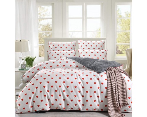 Постельное белье евростандарт Модерн №40