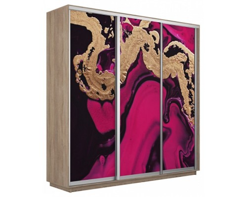 Шкаф-купе Экспресс Фото трио 1005 2100x600x2200