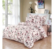 Постельное белье евростандарт Сандрес-Эйва