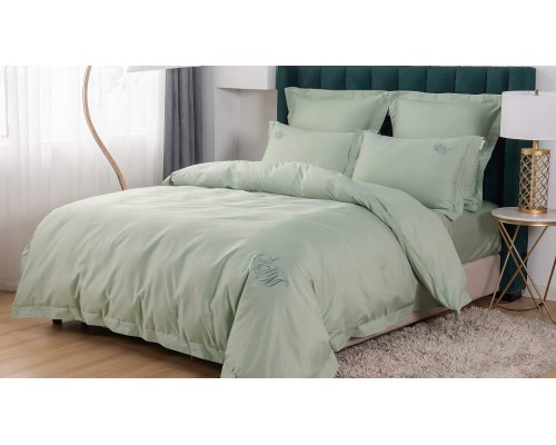 Постельное белье евростандарт Джонатан