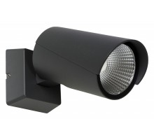 Светильник на штанге Lucide Manal 27896/12/29