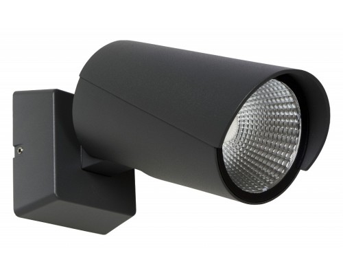 Светильник на штанге Lucide Manal 27896/12/29