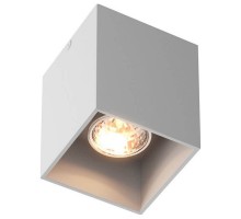 Накладной светильник Zumaline Square 50475-WH