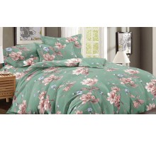 Постельное белье полутораспальное Art Color 045-AC