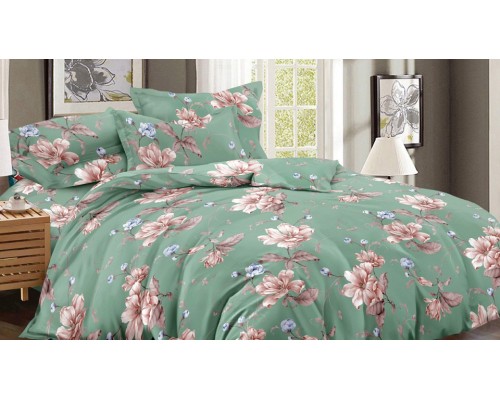 Постельное белье полутораспальное Art Color 045-AC