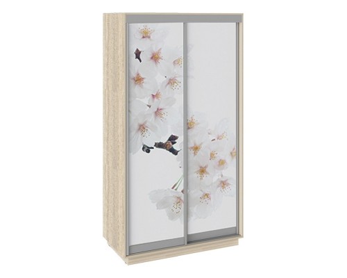 Шкаф-купе Румер СШК 1.120.60-25