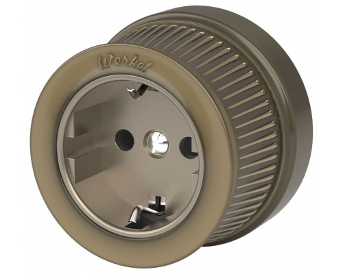 Розетка с заземлением Werkel WL19 WL19-10-01