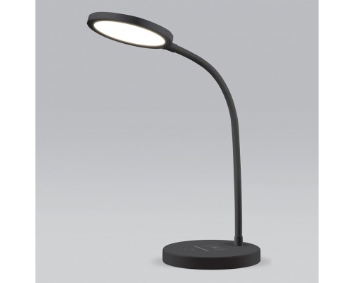 Настольная лампа офисная Elektrostandard Tiara a048743