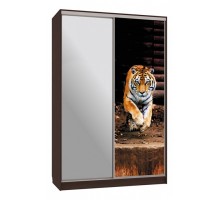 Шкаф-купе Гранд 9-600 87