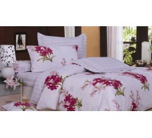 Постельное белье евростандарт C-61