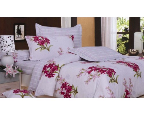 Постельное белье евростандарт C-61