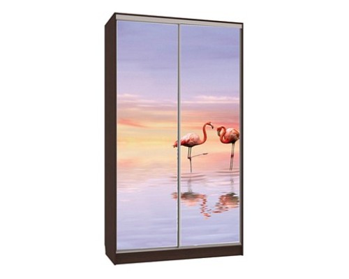 Шкаф-купе Рио 7-600 19