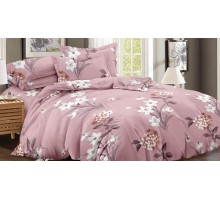 Постельное белье евростандарт Art Color 052-AC