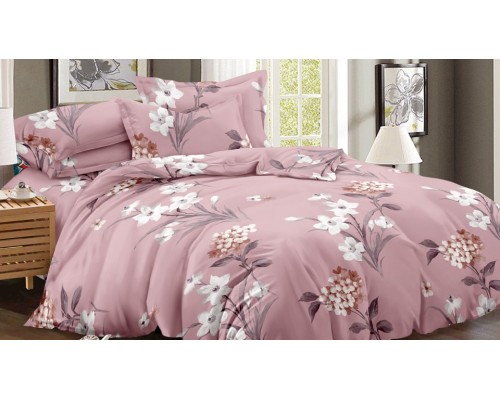 Постельное белье евростандарт Art Color 052-AC